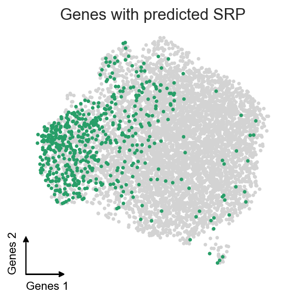 _images/Spatial_classification_mRNA_30_0.png