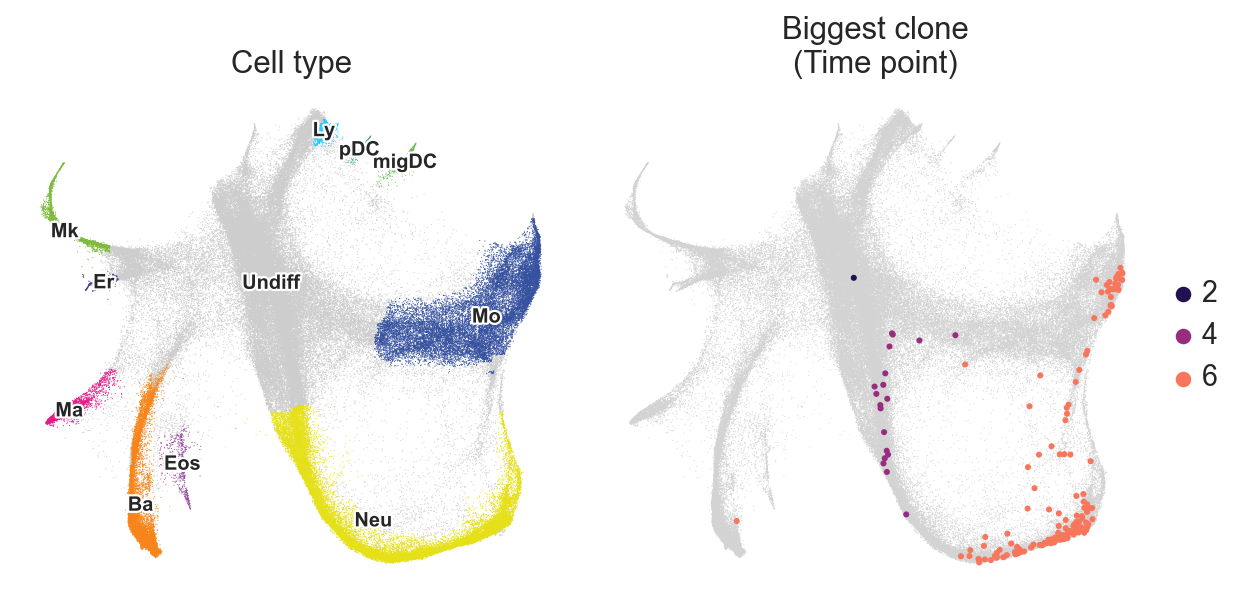 _images/Clonal_embeddings_5_0.png